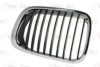 BMW 51138208487 Radiator Grille